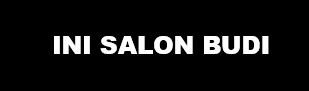 INI SALON BUDI